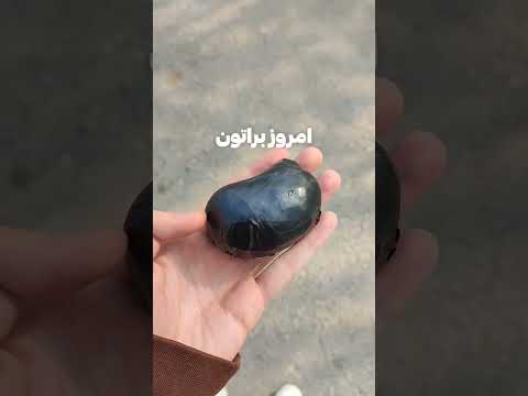 Afshartik