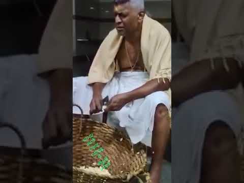 Guruvayoor Ekadasi Viral Song - Divine Melody 🌺