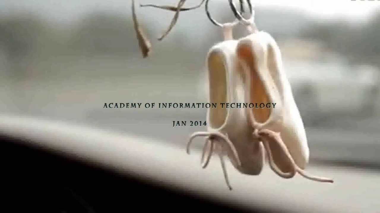 Life in a Day - Ballet Dancer | Hall Of Fame Piano Cover 🎶