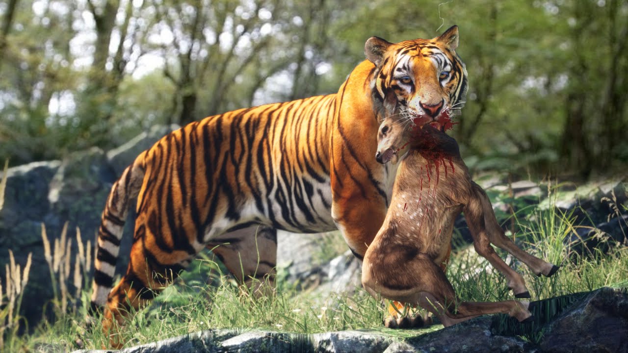 Hero Deer Saves Fawn from Tiger Attack π¦π
| Amazing Wildlife Rescue Scene