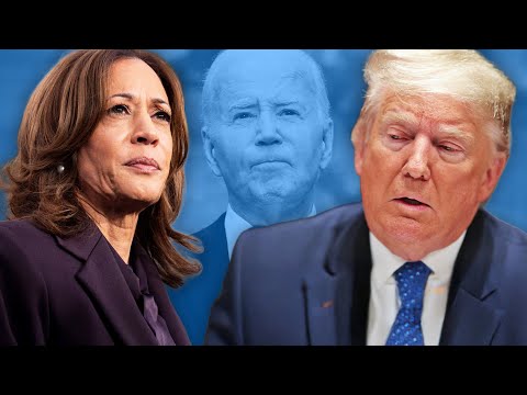 NEW DATA on BOMBSHELL CLAIM that Trump stole election from Kamala