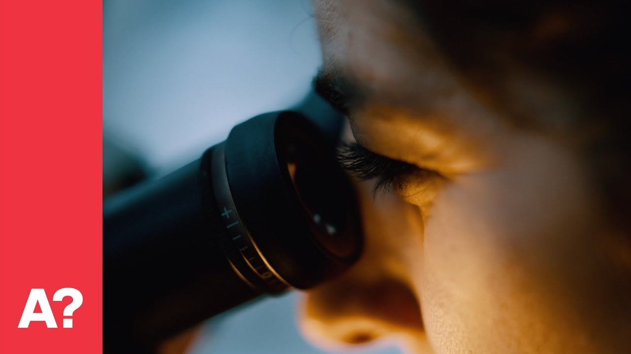 Unlocking Quantum Mysteries: Why Ultra-Cold Computers Are Essential ❄️