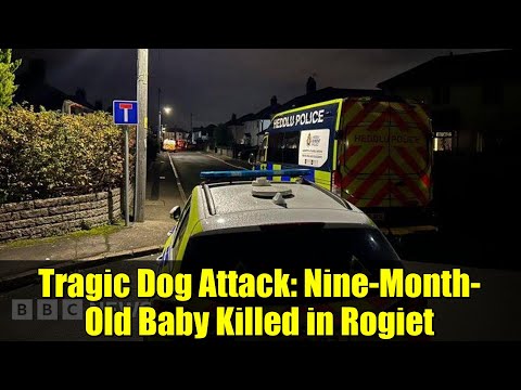 Tragic Dog Attack: Nine-Month-Old Baby Killed in Rogiet