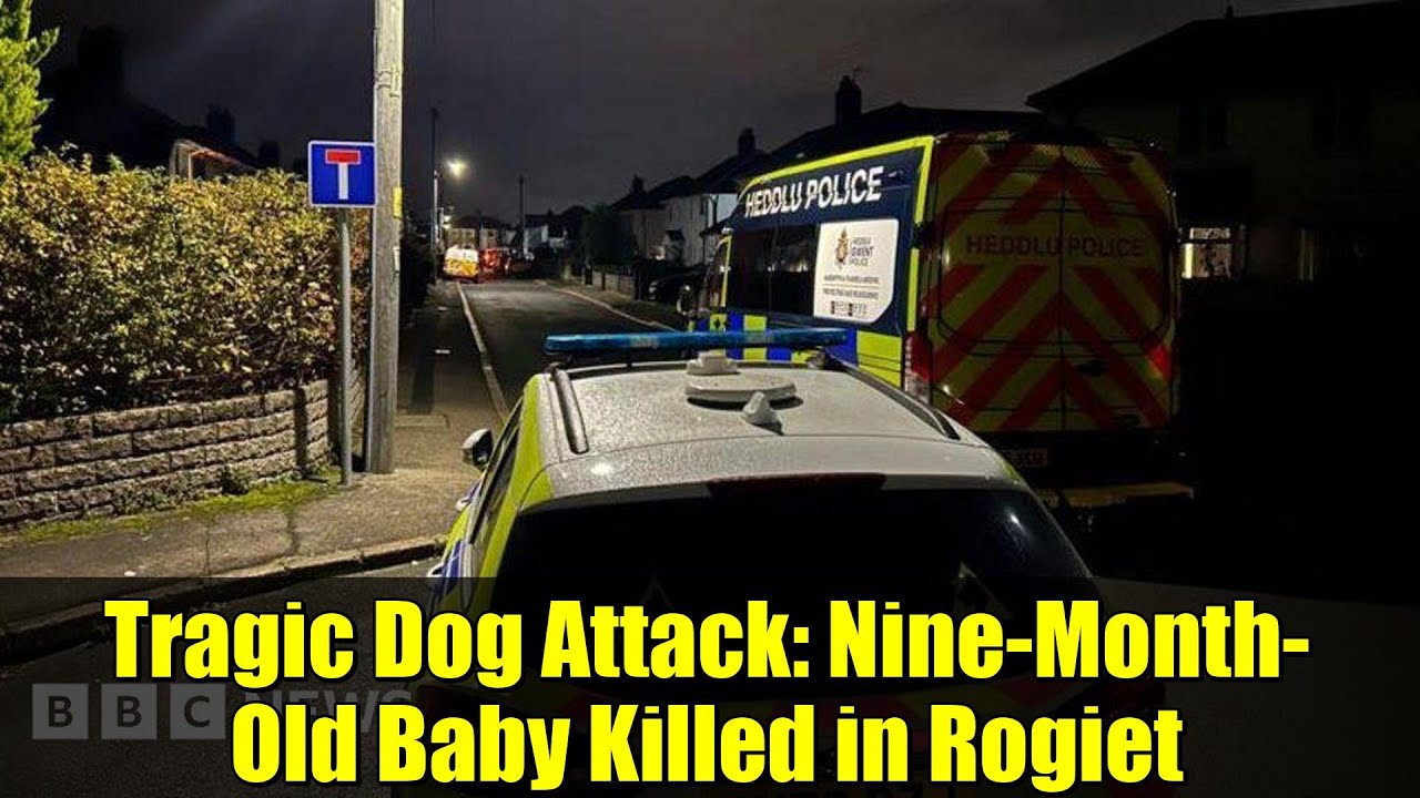 Tragedy in Rogiet: Nine-Month-Old Baby Dies in Devastating Dog Attack 🐶