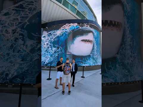 Shark Nassau Bahamas Cruise Port #sharks #sharkweek #shorts #nassaubahàmas