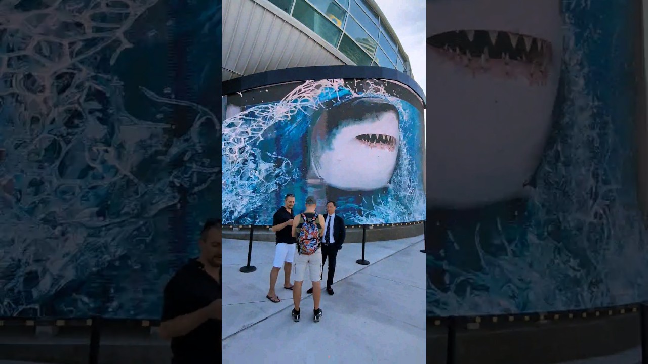 Discover the Amazing Shark Encounters at Nassau Bahamas Cruise Port 🦈