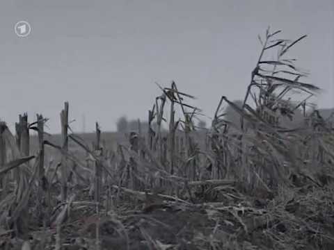 Erster Weltkrieg: Gashölle Ypern 🌍