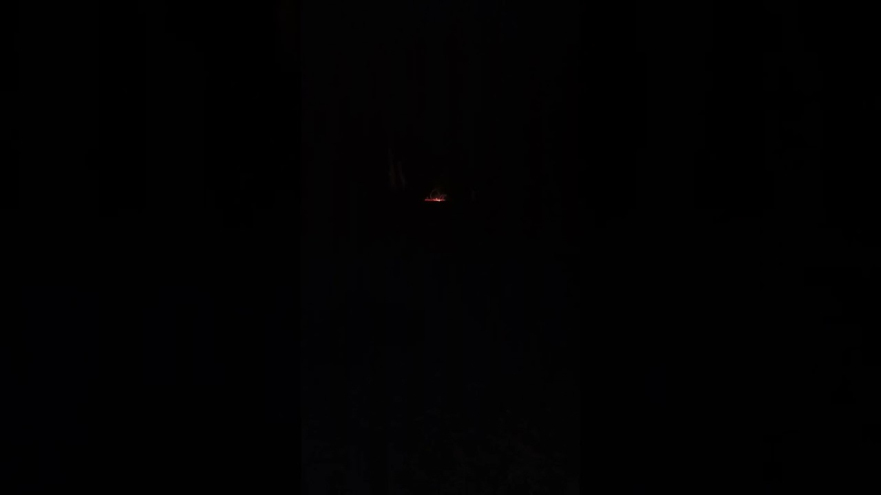 Ночной лесной взрыв 🌲💥