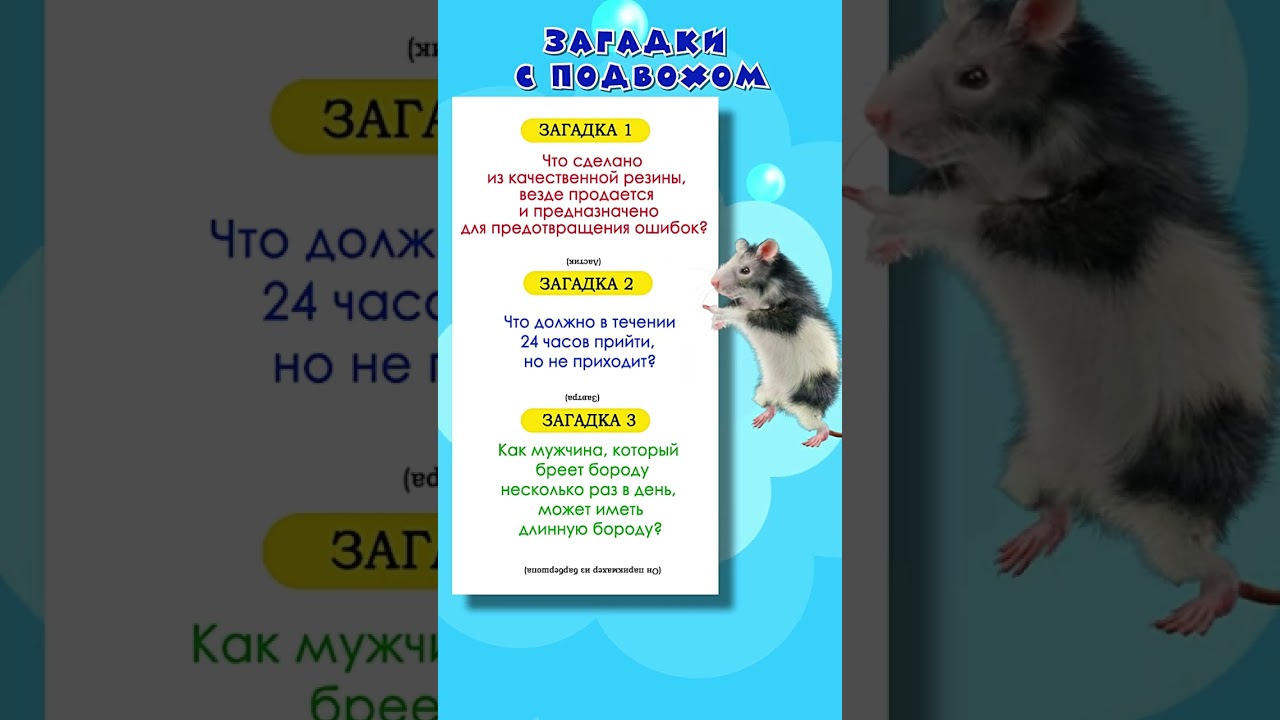 Загадки с подвохом: хитрые и интересные 🧩