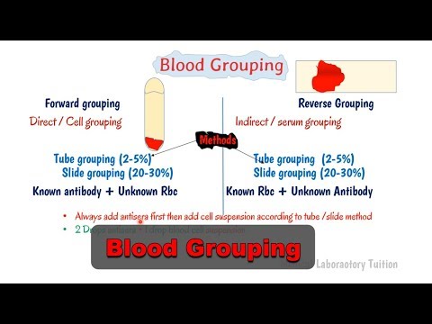 Blood group test in detail || Forward grouping || reverse grouping || H antigen in blood group