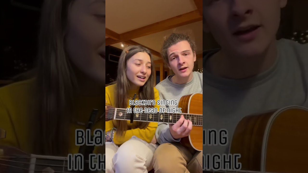 Blackbird - The Beatles Acoustic Cover 🎶