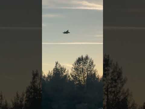 The Freewing F-22 Raptor 90mm is hands down one of the best Rc EDF jets out there! #rcjet #rcjets