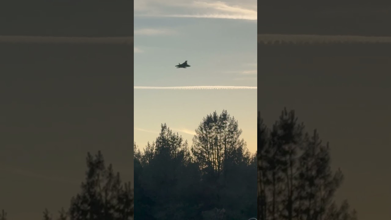 Freewing F-22 Raptor 90mm: Top RC EDF Jet ✈️