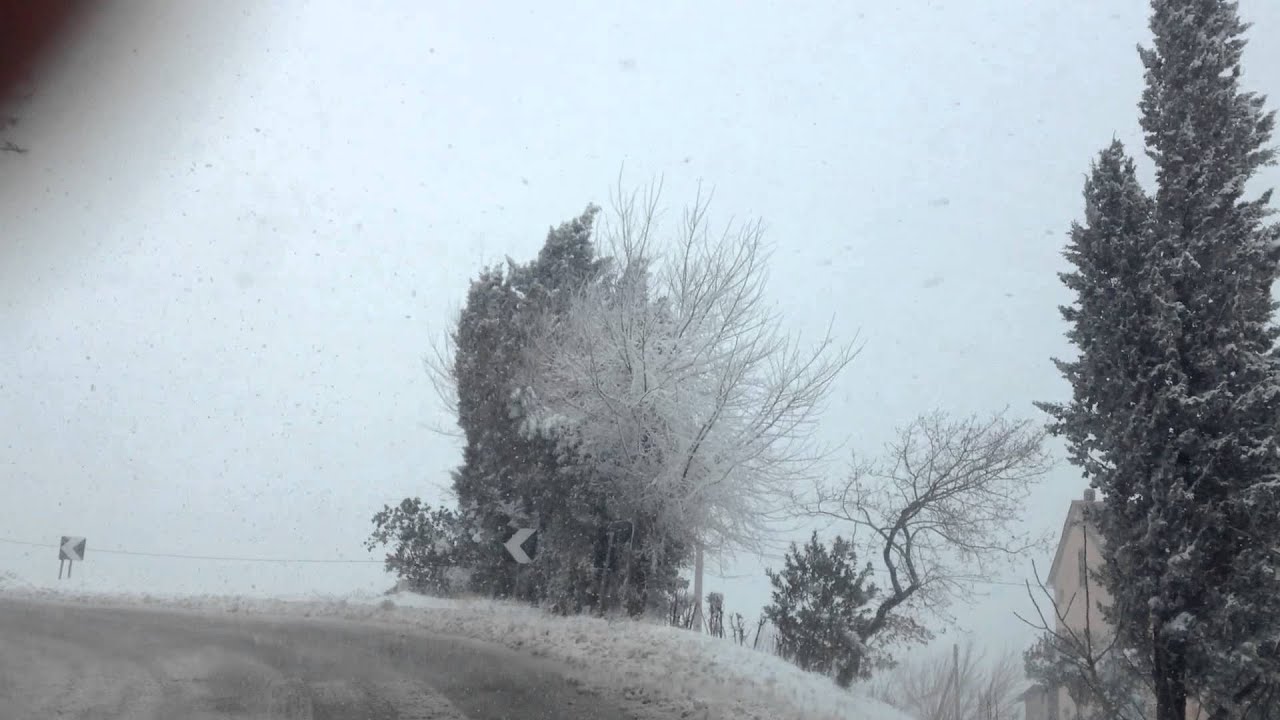 Neve a Cingoli - 18 gennaio 2013 ❄️