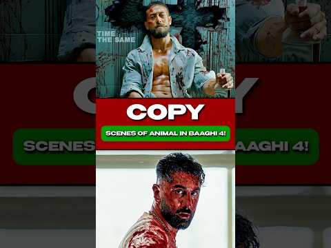 Baaghi 4 vs Animal: Overhype, Violence & Bollywood Casting Obsession! #baaghi4 #tigarshroff #shorts
