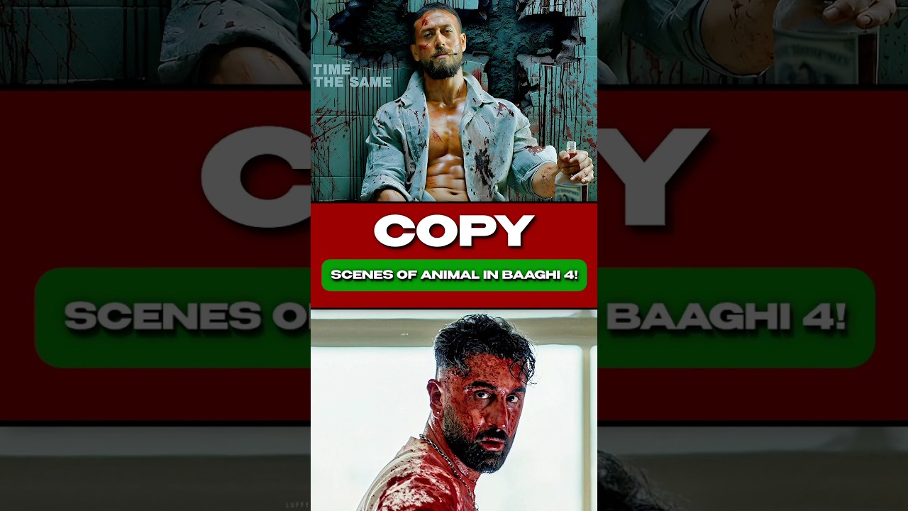 Baaghi 4 vs Animal: Hype, Violence & Casting Clash 🎬