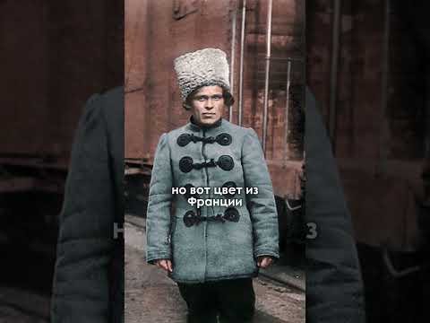 Кто такие черные в гражданской войне в России 1918? #shorts #история #ссср