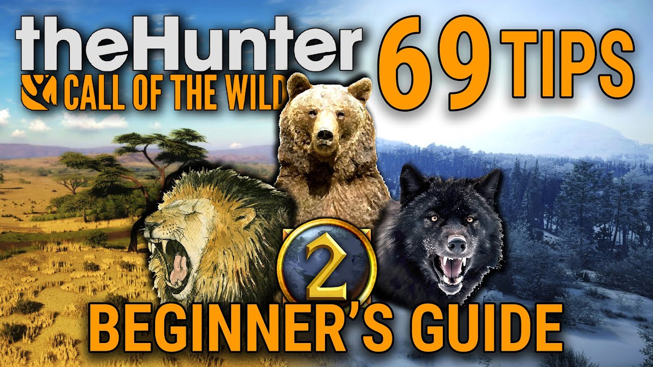 TheHunter Beginner’s Guide | Call of The Wild 2025 🦌