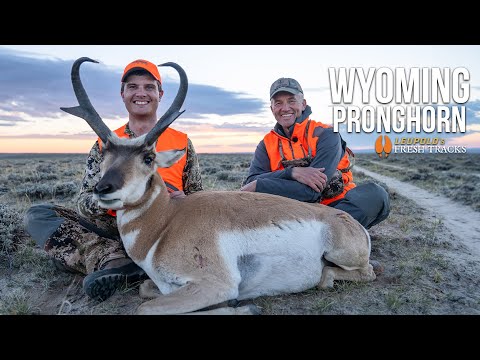 Searching for the PERFECT Buck! | Wyoming Pronghorn #FreshTracks