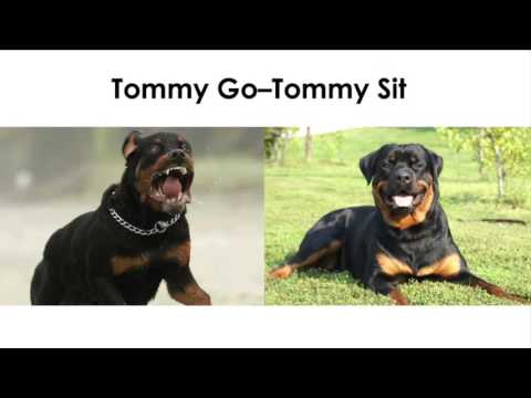 Is Investigative Journalism Dead? | Sucheta Dalal | TEDxJaiHindCollege