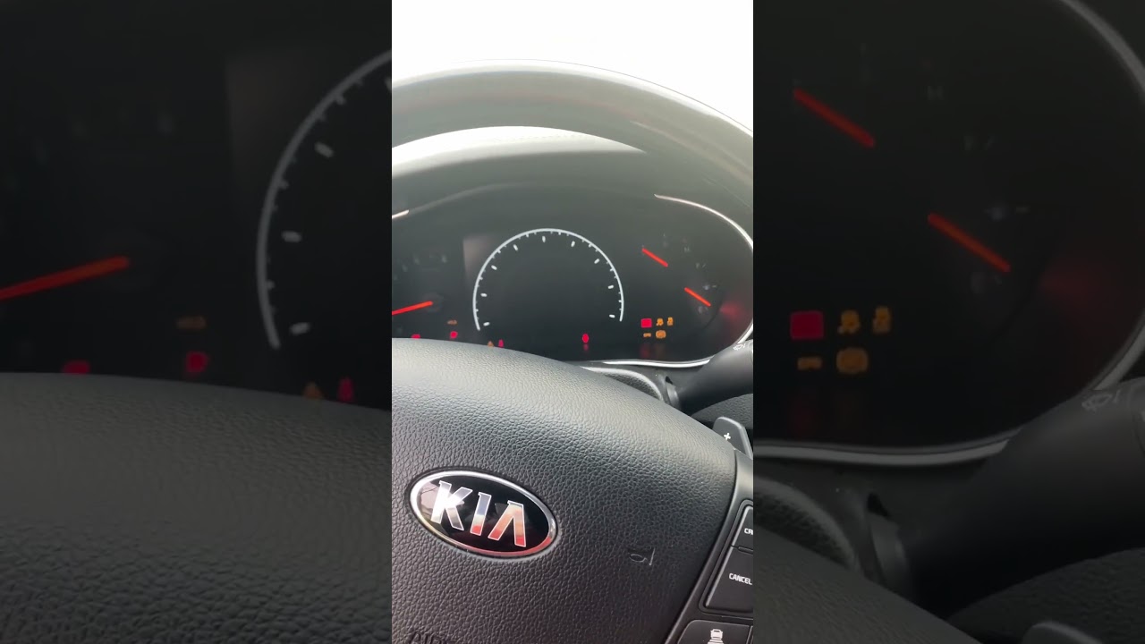 Kia Cadenza Startup: Luxury Sedan in Action 🚗