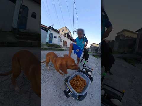 Carrinho Black em ação comunitário #carrinhosincriveis #comprasonline #carrinhodecompras