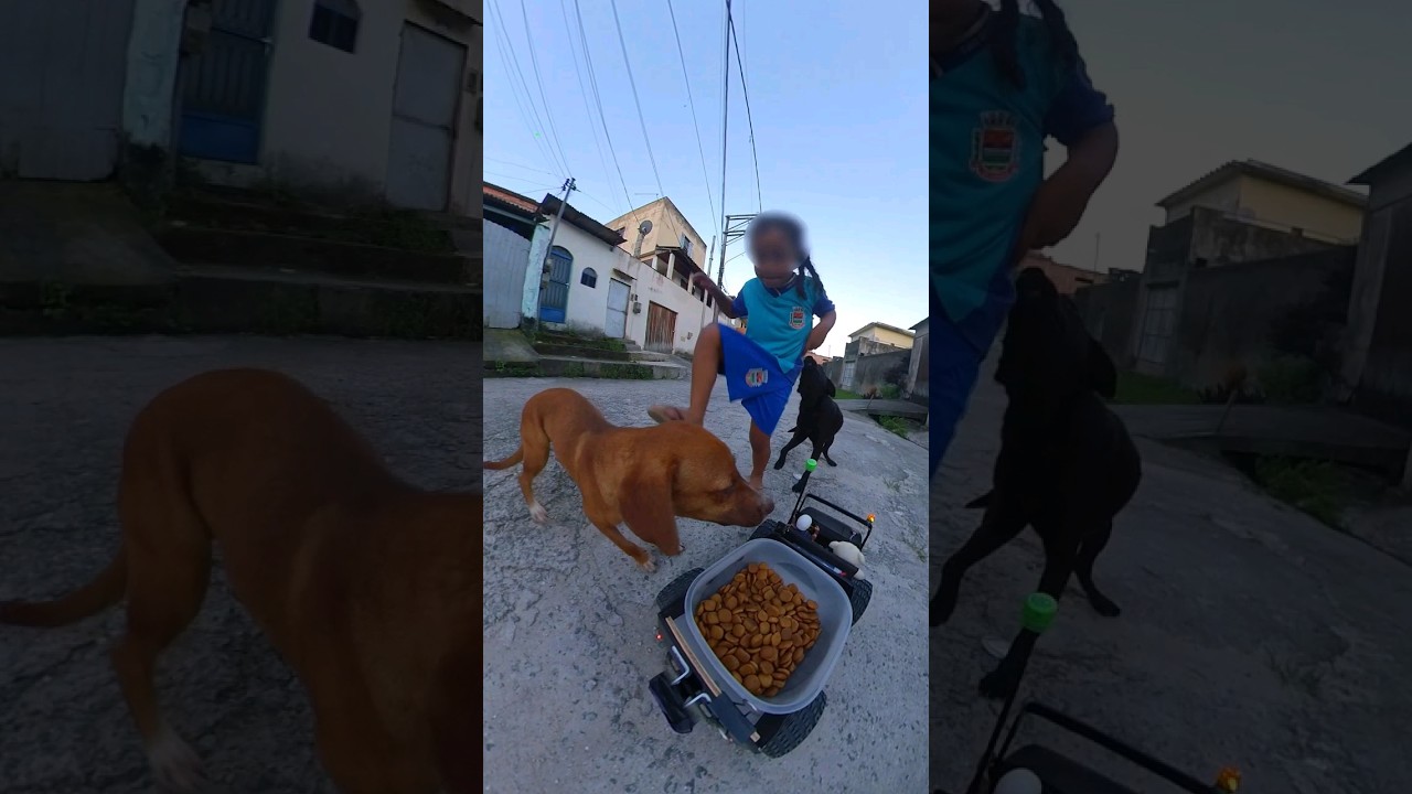 Carrinho Black em Ação: Transforme Suas Compras Comunitárias 🛒