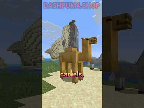 2 NEW MOBS, LUNGE BUFFS AND MORE