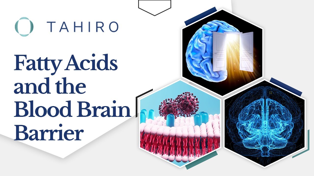 Brain Fuel: Fatty Acids Boost Brain Power π§