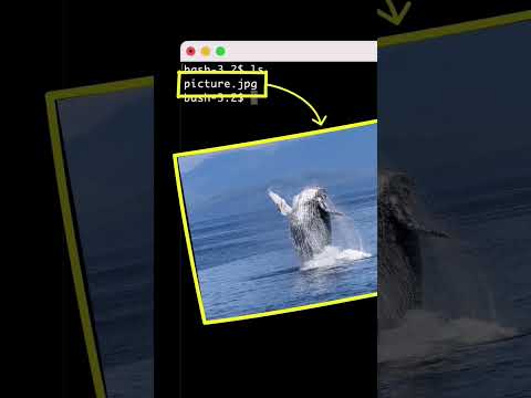 How to find files hidden in pictures?