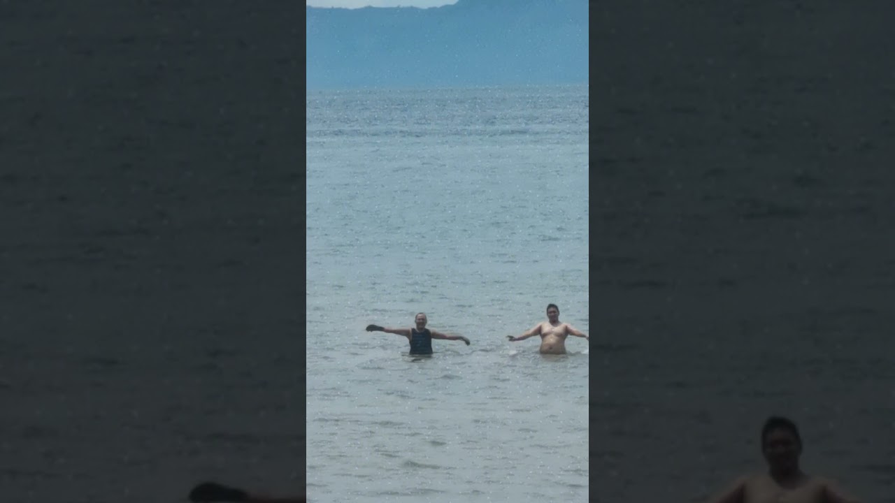 Terrifying Shark Encounter