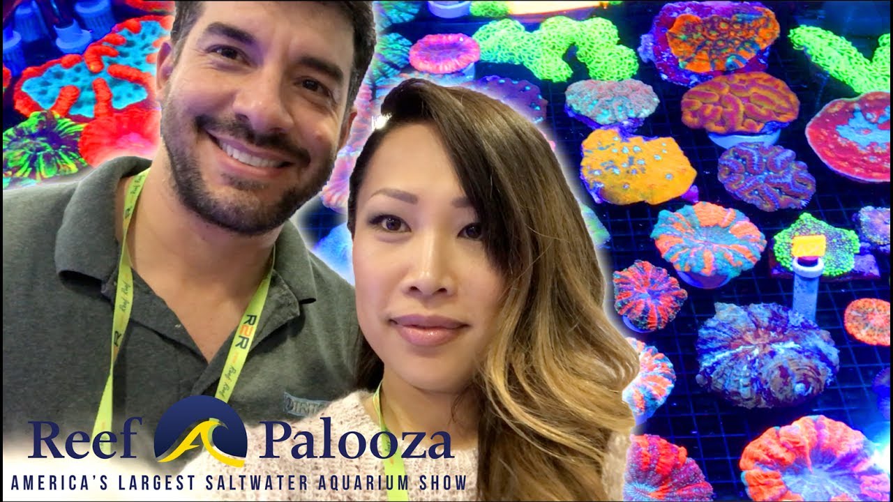 The Awesome People of Reefapalooza New York 2017