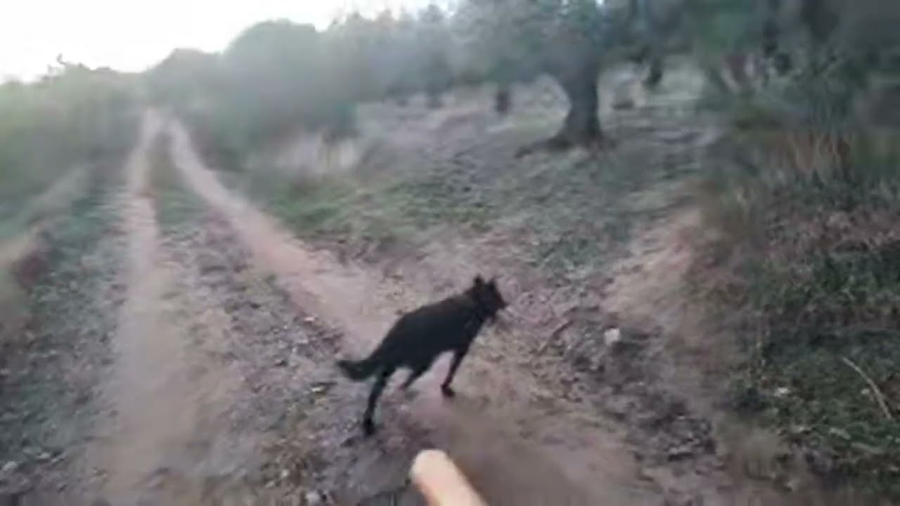 Cambio de hora ⏰ Únete para ventajas exclusivas