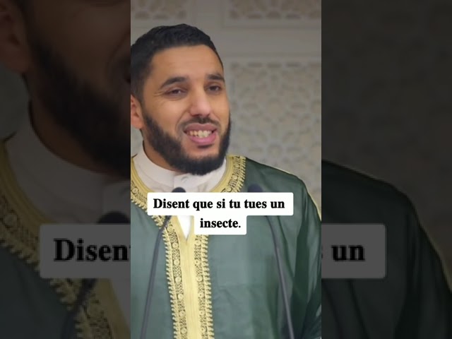 Voici la preuve que l'Islam est la seule religion qui protège le droit des humains et animaux#shorts