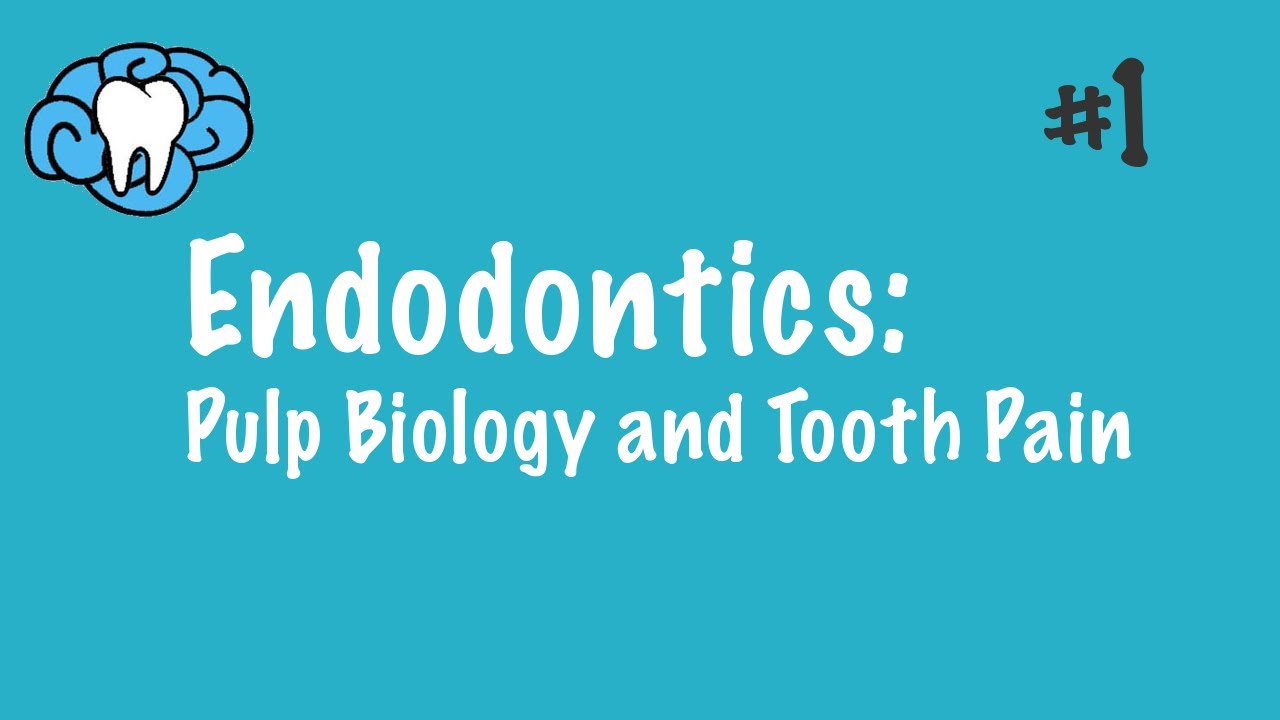 Endodontics: Pulp Biology & Tooth Pain for INBDE & ADAT