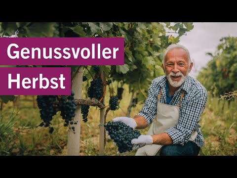 Trüffelmarkt im Seedamm-Center 02.11.2024 🧀🧈🍷