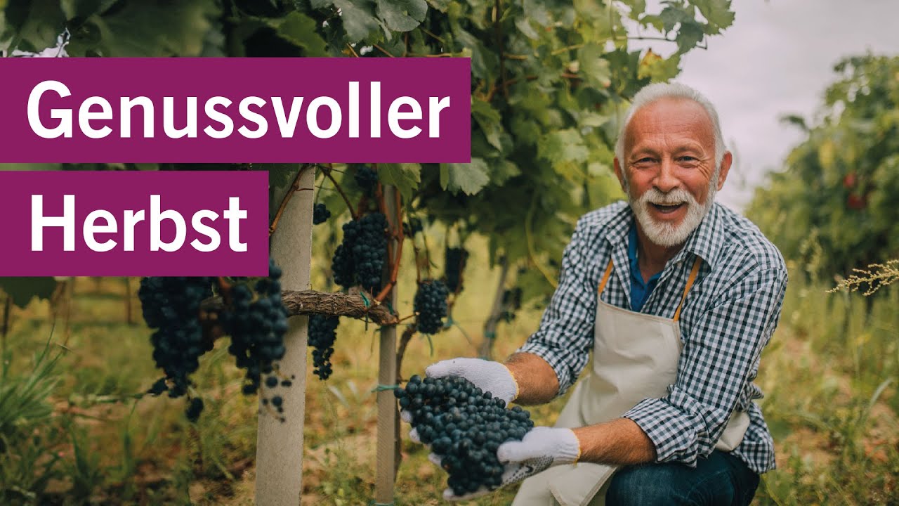 Entdecken Sie den Trüffelmarkt im Seedamm-Center am 2.11.2024 🧀