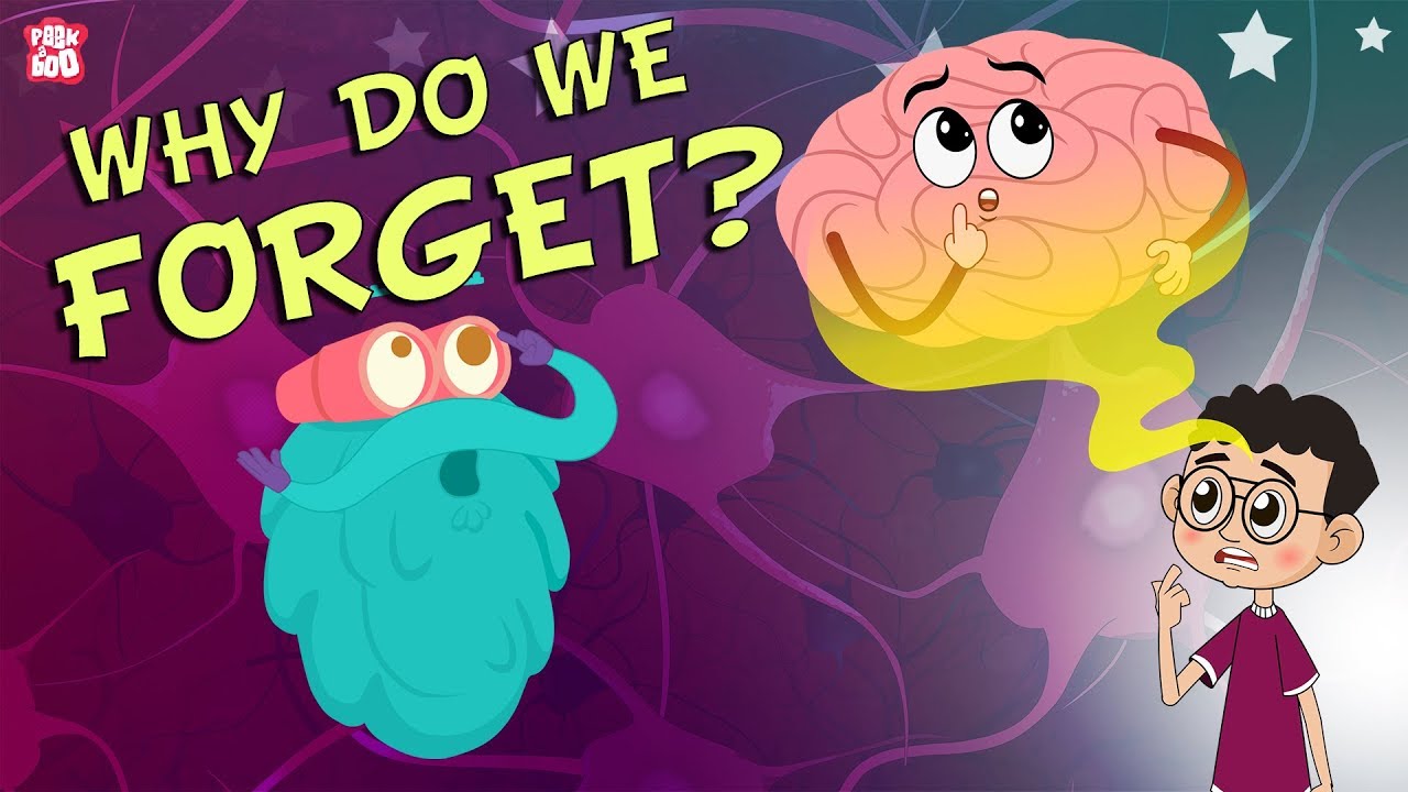 Why Do We Forget? | Dr. Binocs Show ๐ง