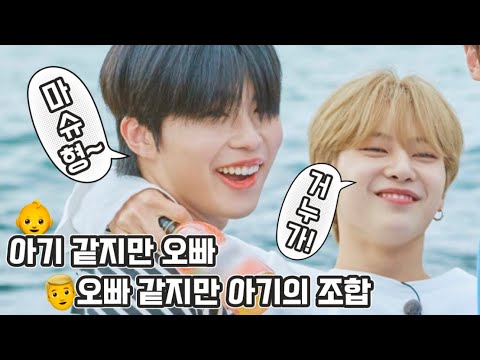 제로베이스원 맽박즈 모음집 💪👶