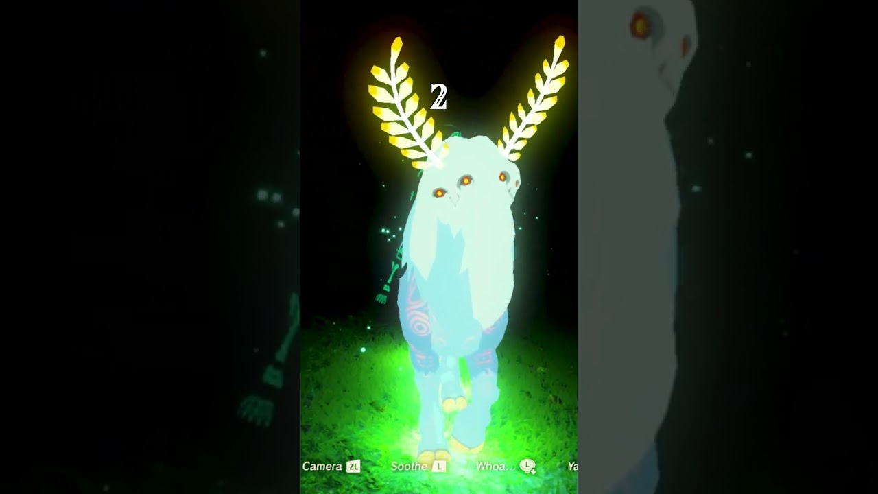 Unbelievable Unlimited Stamina in Breath of the Wild! ๐ฟ