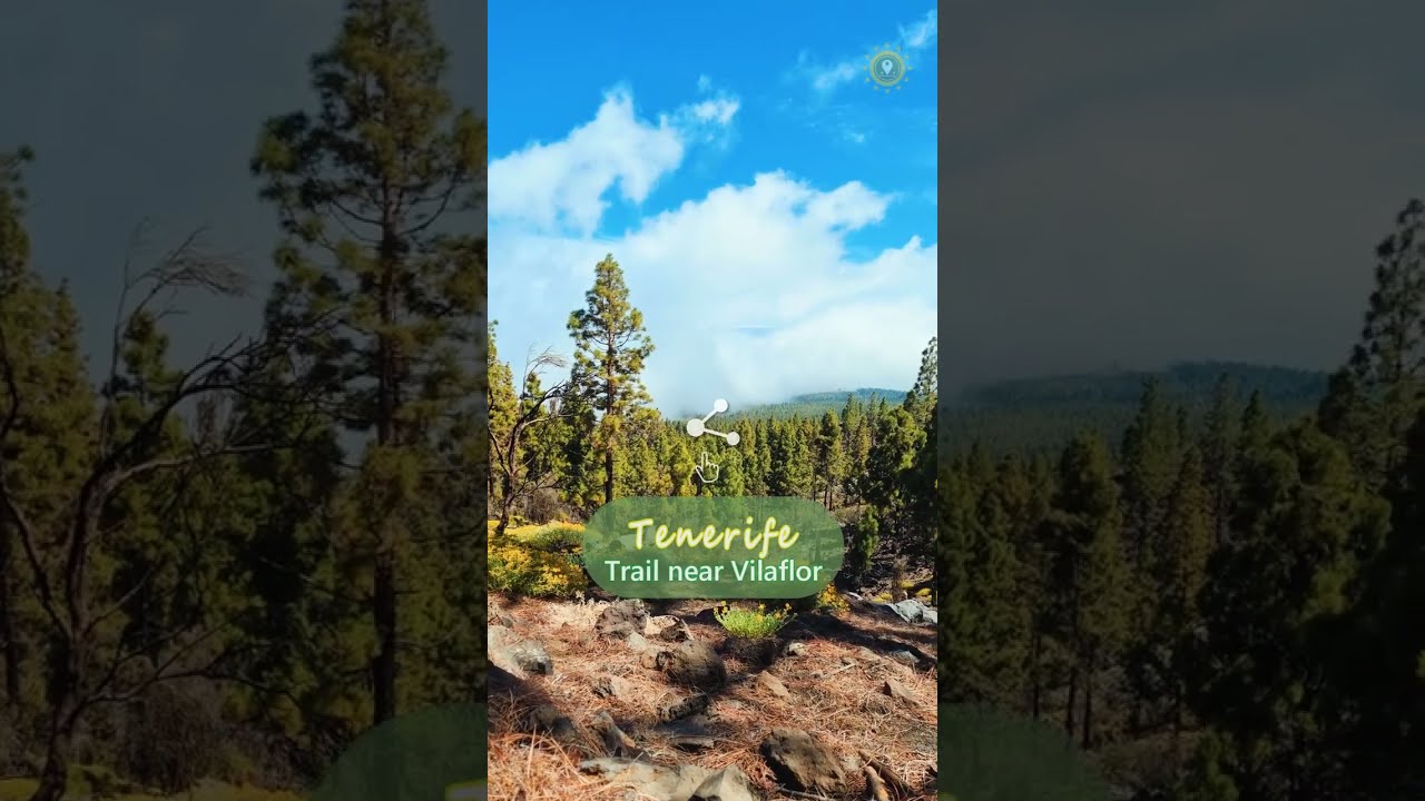 Hiking in Tenerife: A Must-Do Adventure 🥾