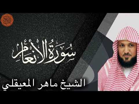 الشيخ ماهر المعيقلي يقرأ سورة الأنعام 📖