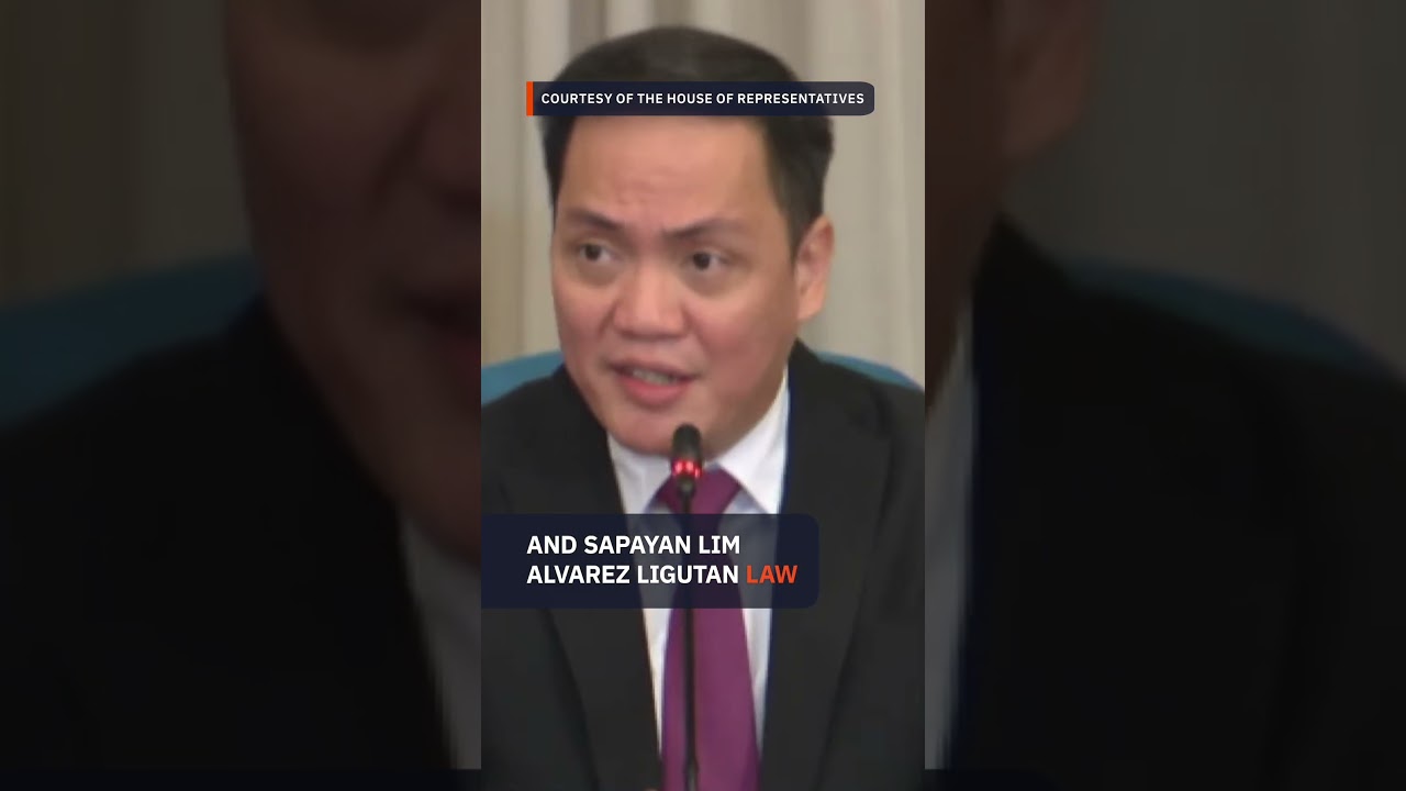LIST: Private prosecutors in VP Sara Duterte's impeachment trial