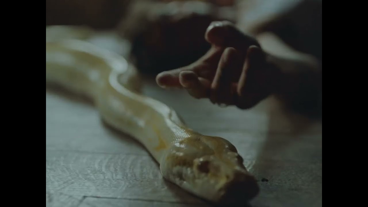 Irama - Buio (feat. Giorgia) [Official Visual Video]