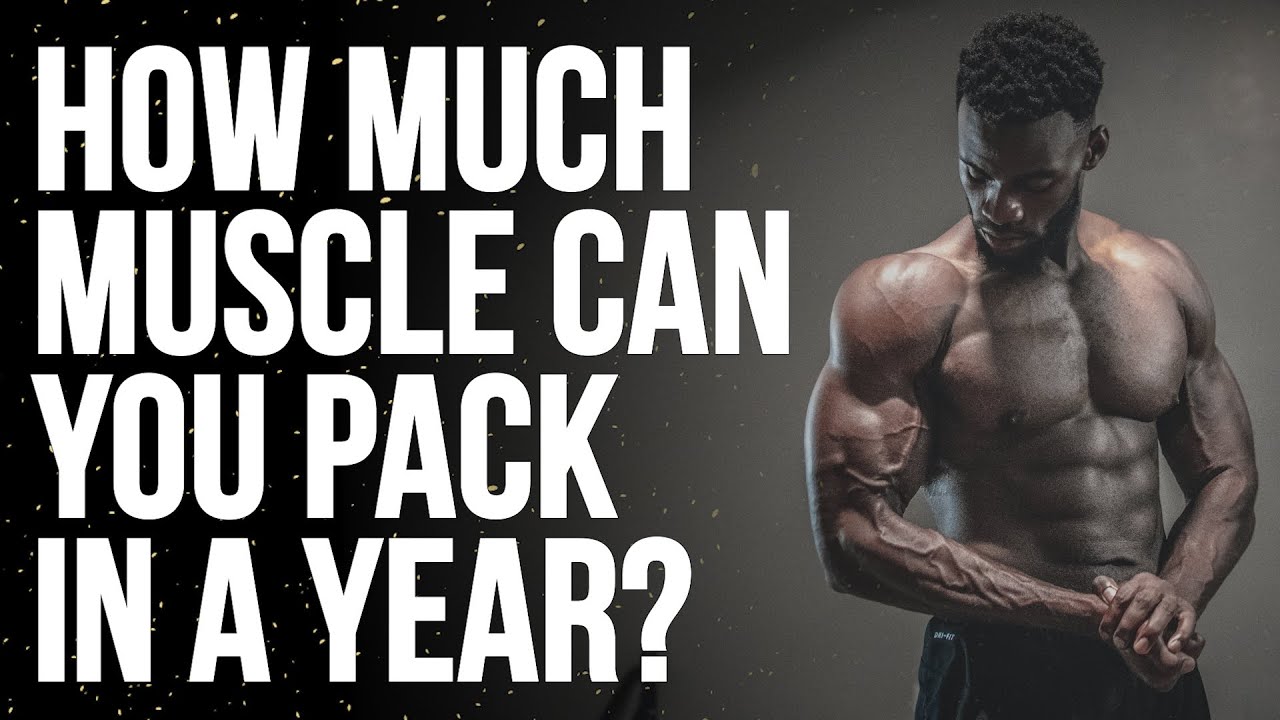 Muscle Gains for Beginners in a Year 💪