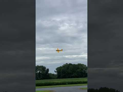 Eflite T-28 2m show pass