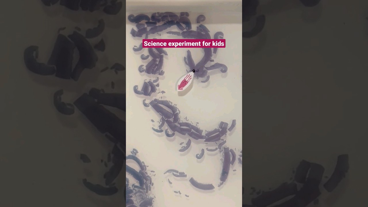 Fun Squid Ink Science Experiment for Kids 🦑 | Discover the Marangoni Effect!