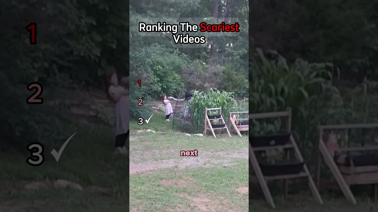 Top Scariest Videos on the Internet 😱
