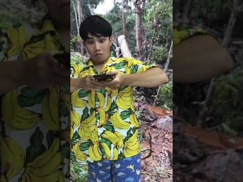 KIẾN CẮN U...SƯNG CHÙ DÙ|Xì-Tú-Ợt Clip ngắn Meme Hài Bựa|#SHORTS