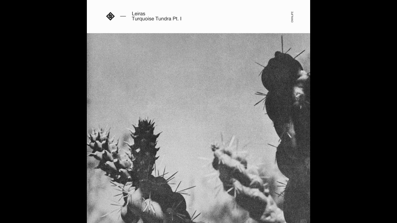Leiras - Turquoise Tundra Pt.I [OWN014]